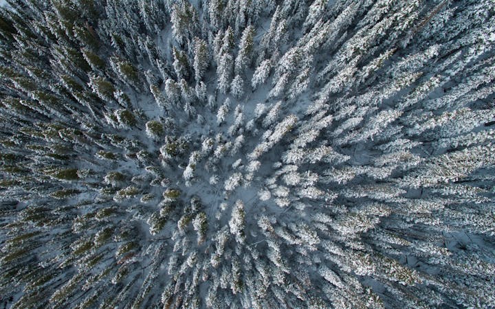 83a29317587ffffafe8d6312758fca03115352cd360f0b5ac20595fb1a05673c.jpg (1920x1200)