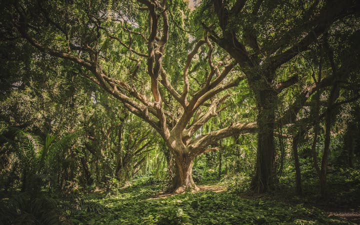 8bd42b4dd176bee2fb9208cfdd89f3d10de4ad0d7e848aa287f0623804affee8.jpg (1920x1200)