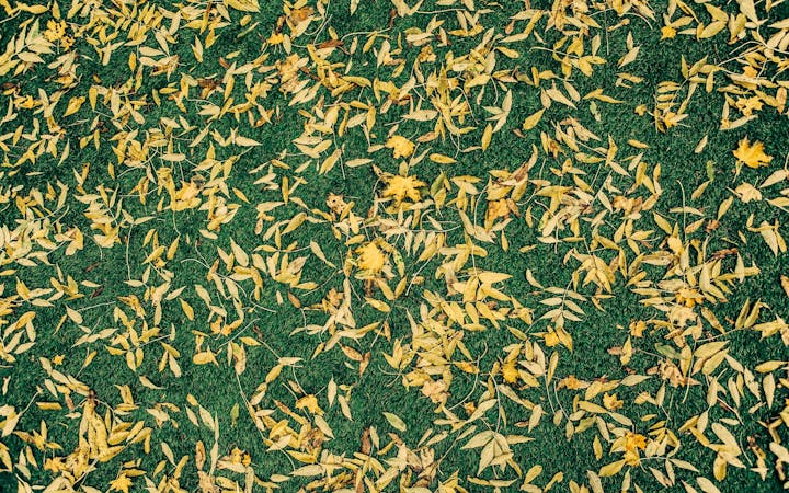 8d0c6b491da9119977d257c1ff5cb3431550137d8530d501468dbe08b93151cd.jpg (1920x1200)