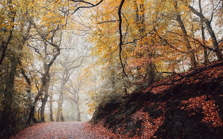 8f3e07fcbe1a0aa9b77d94db2c130602478d2e9116edfd53dcfd8f345bcc0516.jpg (1920x1200)