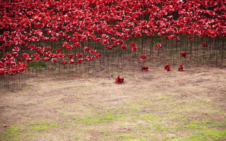 91d983e42a23a0e920db5d7c15958b4dfbc0d265081a57980a94af8aa917aaeb.jpg (1920x1200)