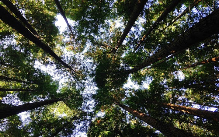 95c1153c1ce42253413664d96fddfaaa597a786fb729036e496f5e4b80a8047a.jpg (1920x1200)