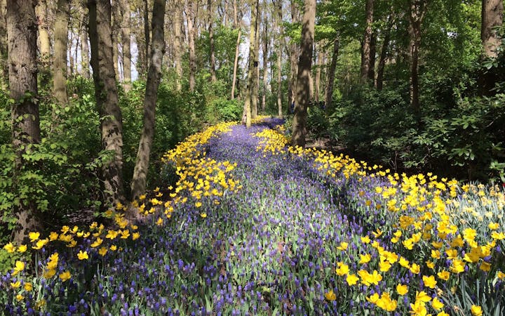 a34d129d5135ded9bdbe958e5bffbf75df3d238d7645582c6d9f03a67e9c6b4f.jpg (1920x1200)