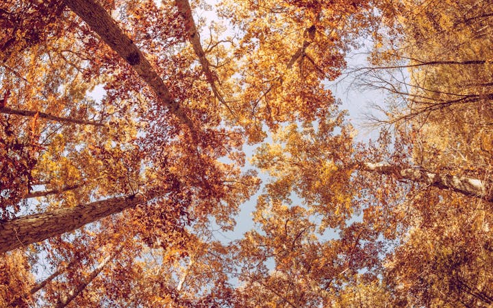 a584fdb7d00022680f125b1ba6714b0e5c0c43a83dce0ce60d26b94c23289f2b.jpg (1920x1200)