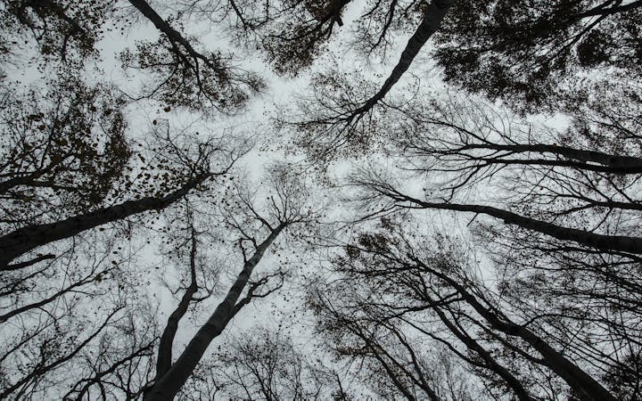 a6f7bc87956052180a30abac943638346fd954d3493e49a36c07ff5844acd4e9.jpg (1920x1200)