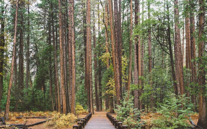 a75e1e055da37ae47812e025fbc31d485ee01ee3b4b55e22ece2d49875ed19b1.jpg (1920x1200)