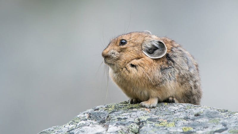 adobestock169443586.jpg (3840x2160)