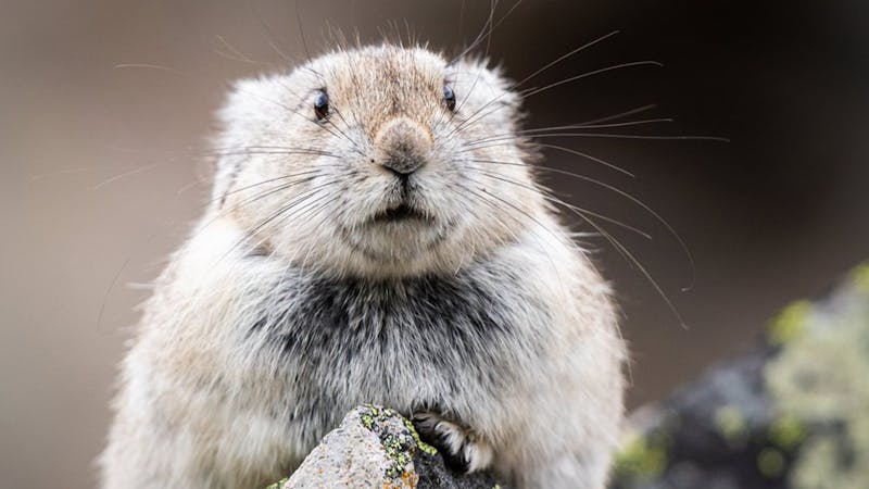 adobestock374016466.jpg (3840x2160)