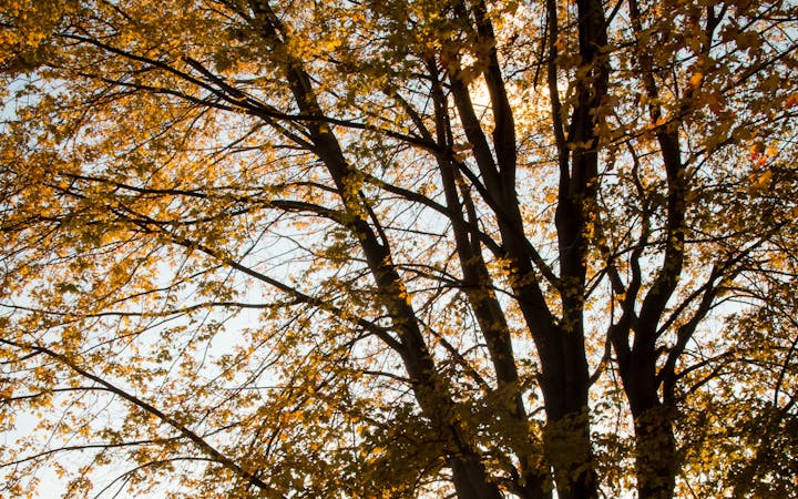 aff096ddb8f02233aefef09d66a1fa890c1f450a1ed10ac79ab15ae719e81248.jpg (1920x1200)