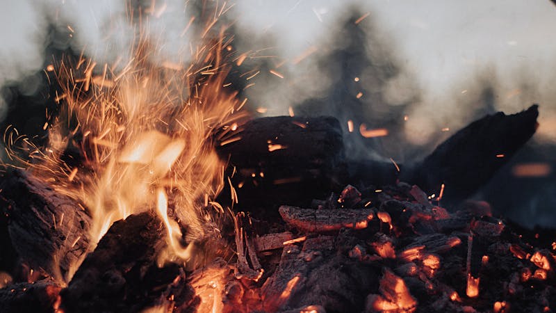 almosbechtoldgfgwx3o8btiunsplash.jpg (3840x2160)