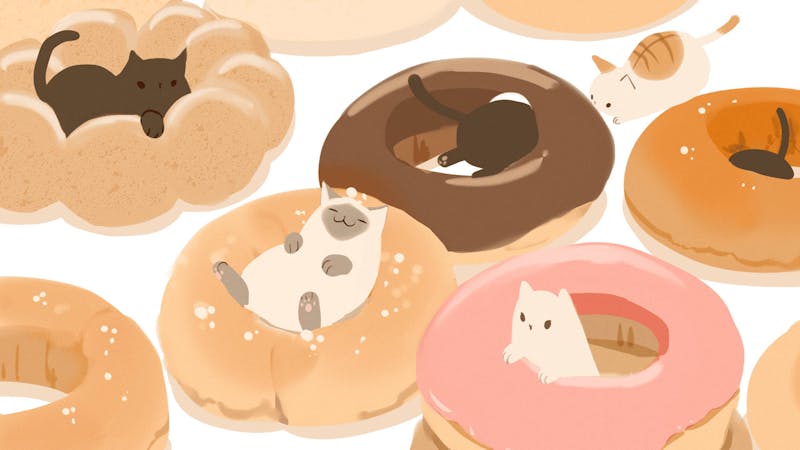 animecatsindoughnuts0q1asjs16drn50p7.jpg (3840x2160)