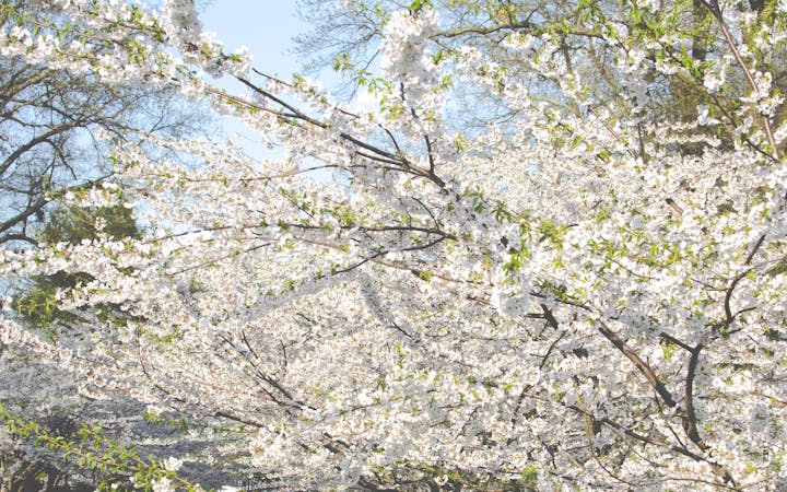 b42ebcc58856ebd9d5e1579844b931df6f3773c7c5b9bd43d62150b629a62292.jpg (1920x1200)