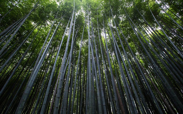 b620f3d7bfb14b932d4b16614e7e2068b7453d3c13918d3905ad5e3f40d818a8.jpg (1920x1200)