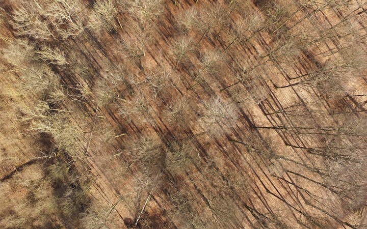 b7f20f362365e3a0650ced82af0f59d4f87ad48687ecfae0b7676ccfa0620537.jpg (1920x1200)