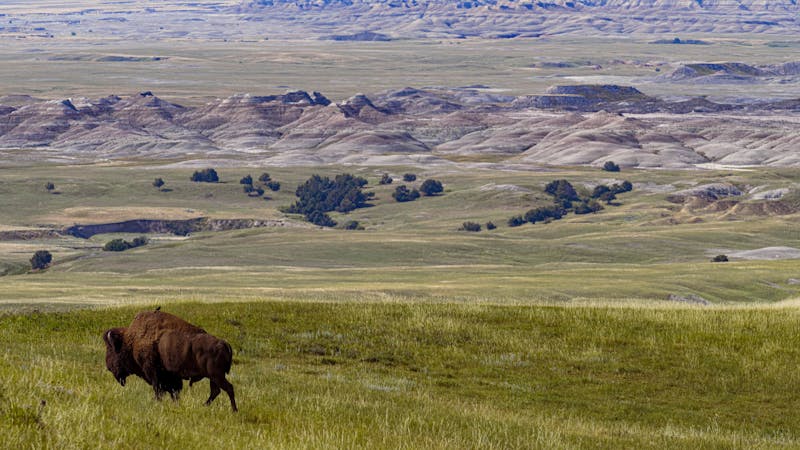 badlandsnppe8002edit.jpg (2500x1406)