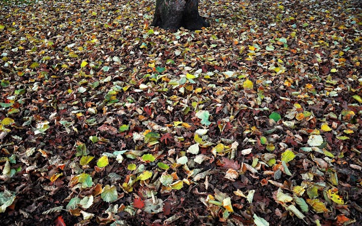 bbcf80b3a4edb5ef47a5202a229d79e0c15425b3050f3b618afa303af084eeb7.jpg (1920x1200)