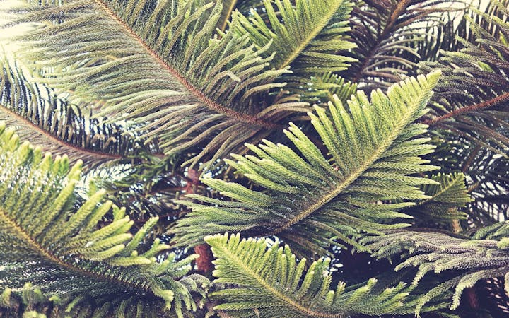 bccf4c7789aed4904499af09f12dcd713f1bbd7babf724e3735bb5d86c08d8fb.jpg (1920x1200)