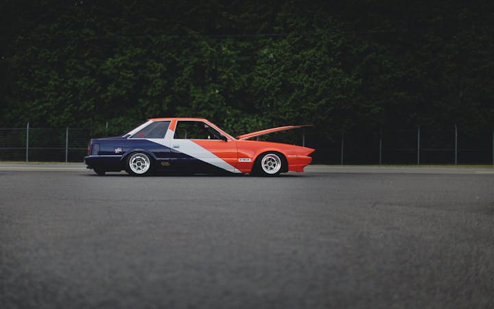 bozomobocratical.jpg (1920x1200)