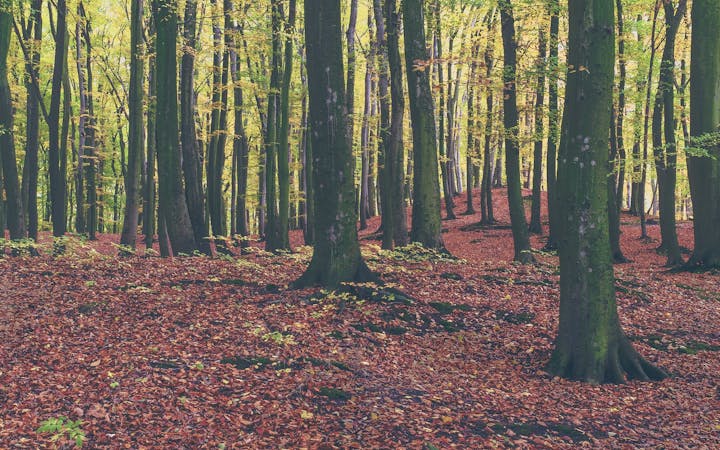 c09c553ccfbdc08e3b9357533d6de04a1976d1e9b96a20a2848d18cde1d6fa40.jpg (1920x1200)