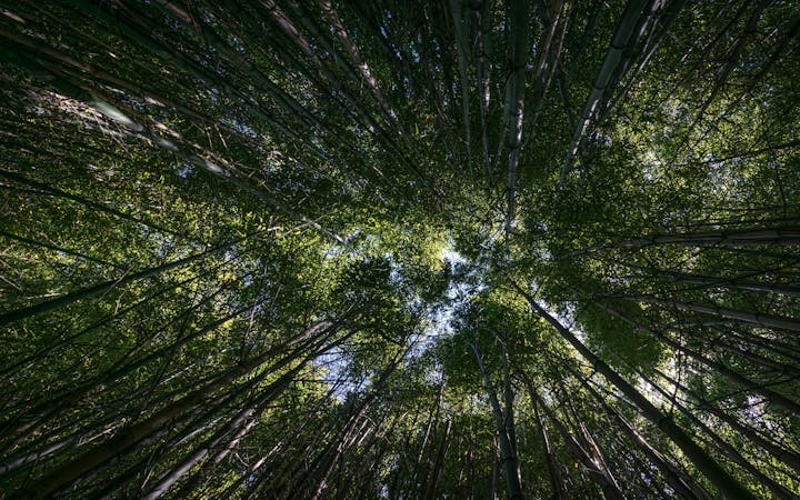 c1094fbaa57e2bf2c679f4fd89668a220178ff9aa4866a267ce78fe02424c4f8.jpg (1920x1200)