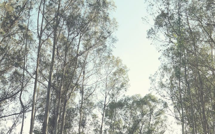 c12ecefb2219050a6089aced3e77b2e2eb122db9afcb17517355d7c04afd9e4b.jpg (1920x1200)