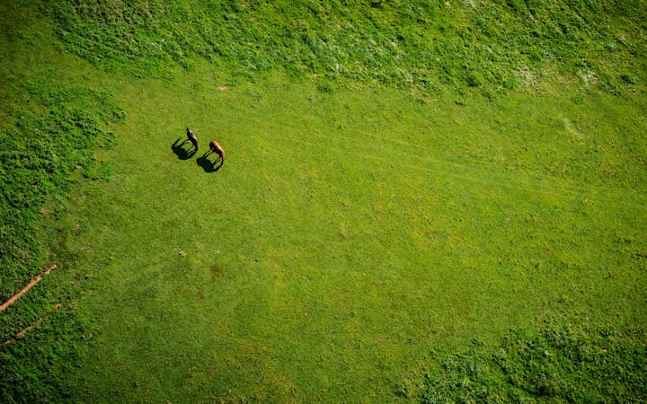 c34262f73863ade6e2c47ba0cdf69776de710f046c0abe7dd730e131da625523.jpg (1920x1200)