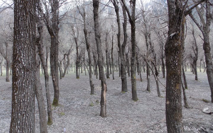 c39489eb4bf92fe46e9d3574ce679ec2971129bf4043c165e388a63ddf5fabf9.jpg (1920x1200)