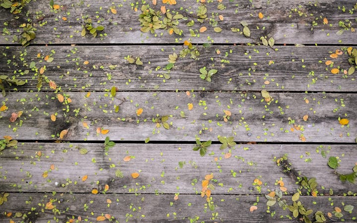 c538e0c7d03ae9c97b4f36c209279685bfecae4a8e86a349c21163be64e941a6.jpg (1920x1200)