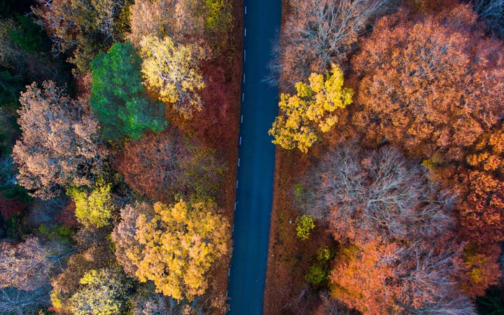 c54cbeffb1cf83e5188f20ab247563a025e063afb9394bea7fb78ebbd946bd01.jpg (1920x1200)