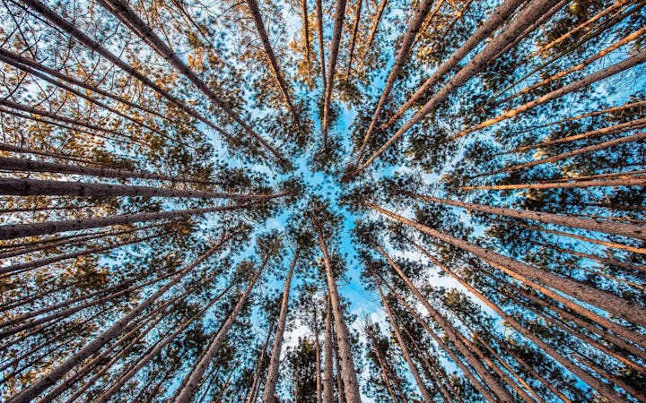 cce603233bd62679179a6dd2a73de409b6f94bb757ff4985732279df8803c55c.jpg (1920x1200)