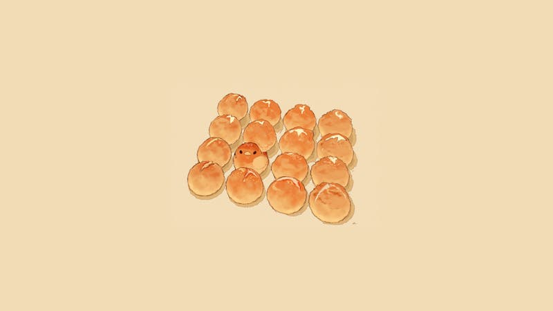 chickens816934740.jpg (5000x2812)