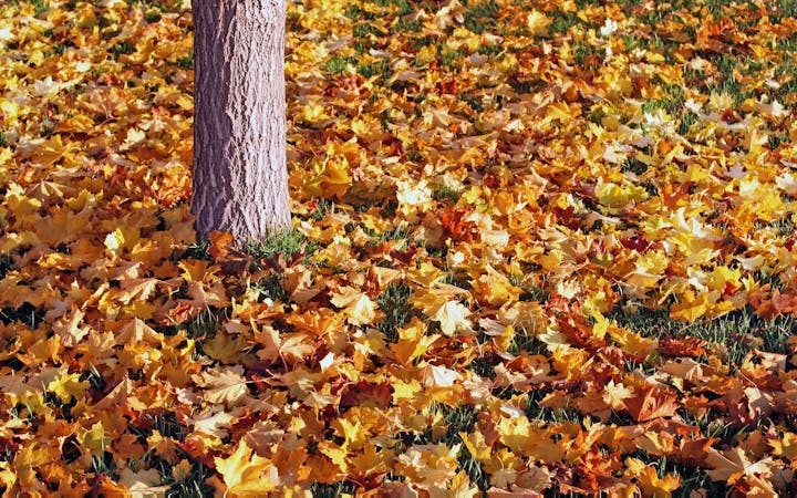 d703354f2c93e4542b99eed2c5e30bc53adb0897f657ffc4e24d881fe4d02268.jpg (1920x1200)