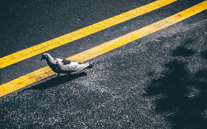 dcb68c9dad432787eccac167c3c37fd24605a281e82802c488782b4e21fd3574.jpg (1920x1200)