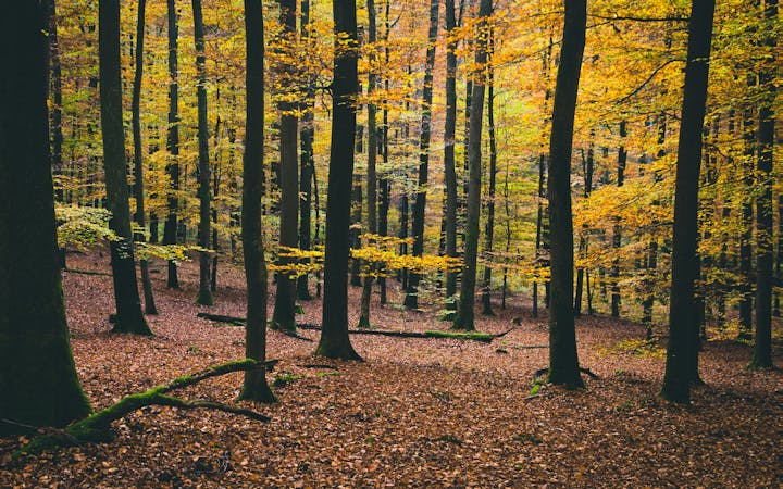 dee6f35b81bcc84c94e532575938c1e7d5503f92b8dacd3e02ab9ec74e3b667c.jpg (1920x1200)