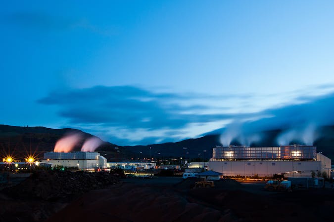 dls006arationvineatic.jpg (3000x2000)