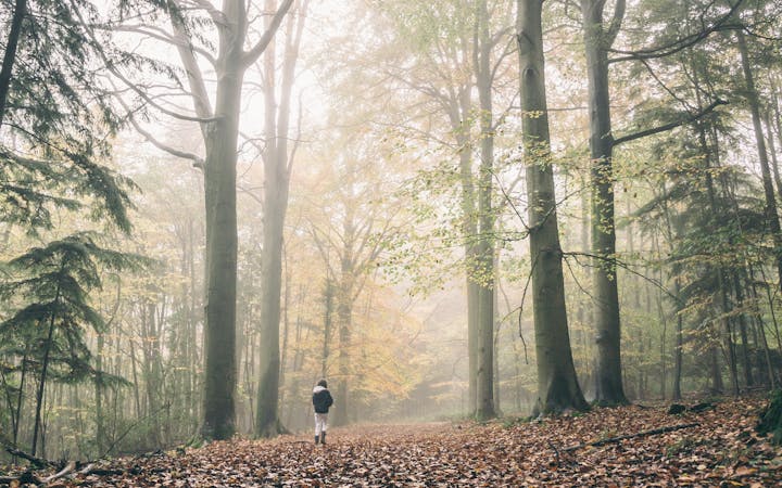 e3c97a116dae2e2f7be5d7a81d8275ea809b99bcb6e0bc29567992382c61bfc2.jpg (1920x1200)