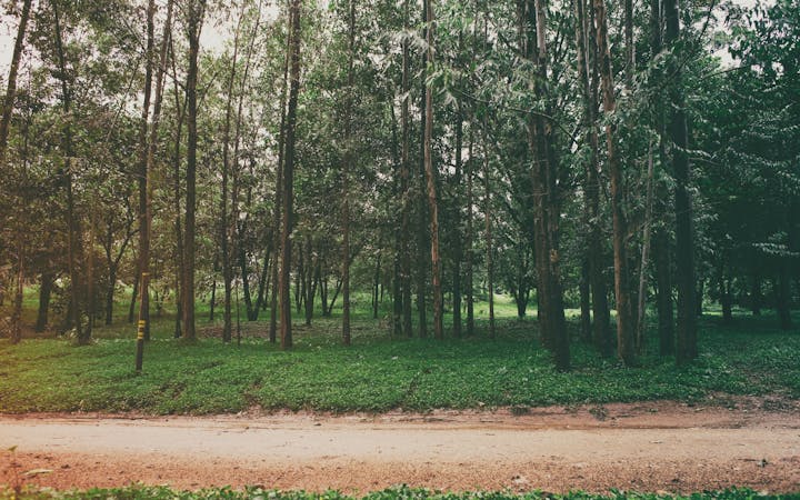 e5cef9924706ffb522528640b7889f4d9188168d67e805c6fcb23ee86ee2d224.jpg (1920x1200)