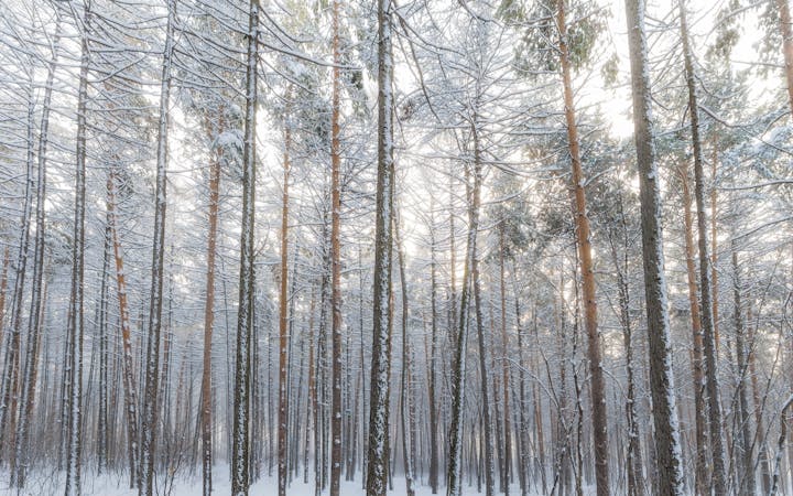 e943903ef1037082190050ef38747b9dfab06c1bf6af27c41b02e50e2b30b32d.jpg (1920x1200)