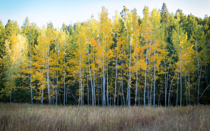 ec47e54607c6546c0400f52141ca19a440fe69d5a1e822f04d1223017f331eed.jpg (1920x1200)