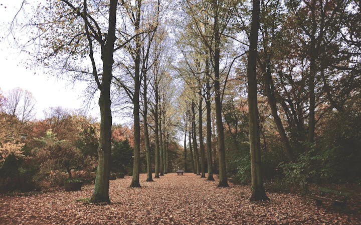 eefa14f22a70f1e738f0cbd1a77a0a112f5a866719929593a2d3e728ea6ce127.jpg (1920x1200)