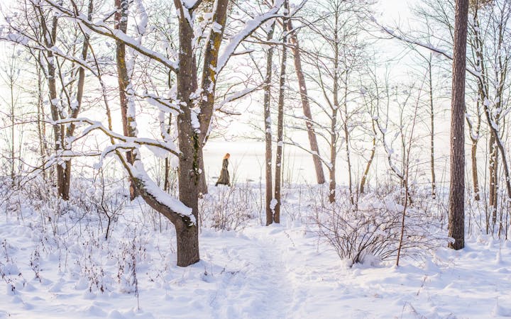 ef86767d1f752a93b87b1ccb75c440d3a4aa7289031d0716aceaccb083d14f39.jpg (1920x1200)