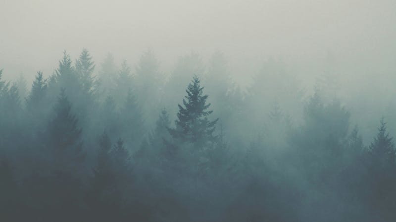 ericmuhrfsbcmsvhaunsplash.jpg (4272x2403)