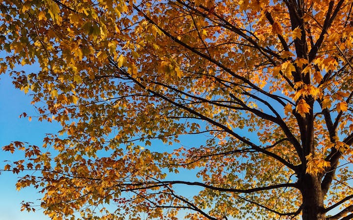 f449d585baf47d866afa94a02f9c83e605124be3d66c557fe1a58adeb48d7817.jpg (1920x1200)