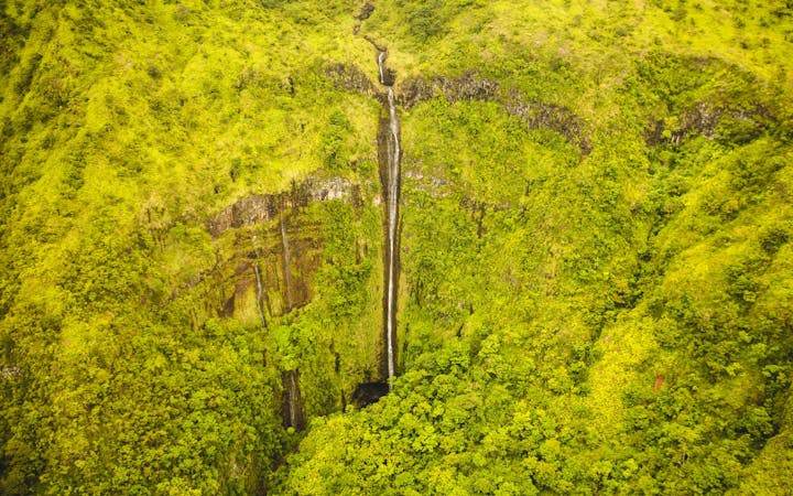 f79f3bd295aa0e50c1105819fd0e417c7ba99c9006eb8fe35448ce4c4d32cf80.jpg (1920x1200)