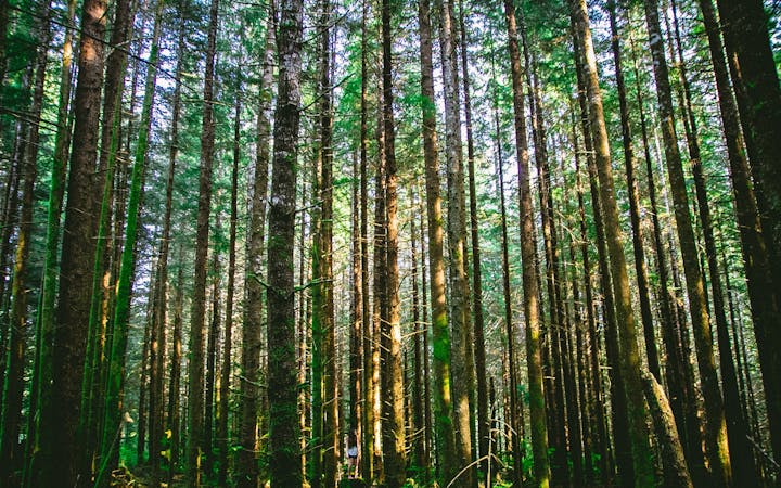 f8736c70058daea44e9e425fd07771414c3b5c5d0ea60d8822f57eb66f9f5646.jpg (1920x1200)