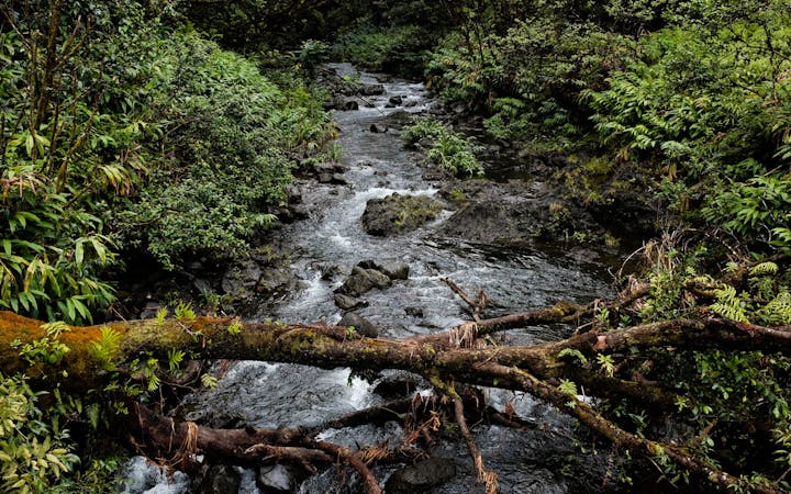 f956beba488547d72d1b36843aac5fbcbca7985767a86412a378ca931c14a583.jpg (1920x1200)