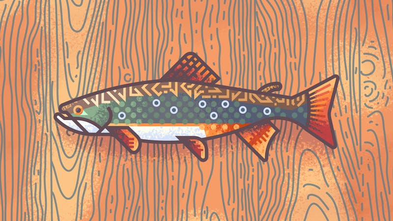 fishtexturebrooktrout.png (2560x1440)