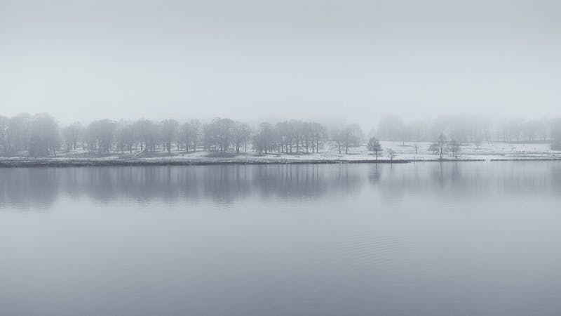 flickr19350557103.jpg (1600x900)