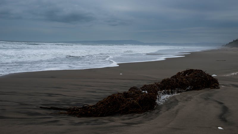 flickr24664098472.jpg (7360x4140)