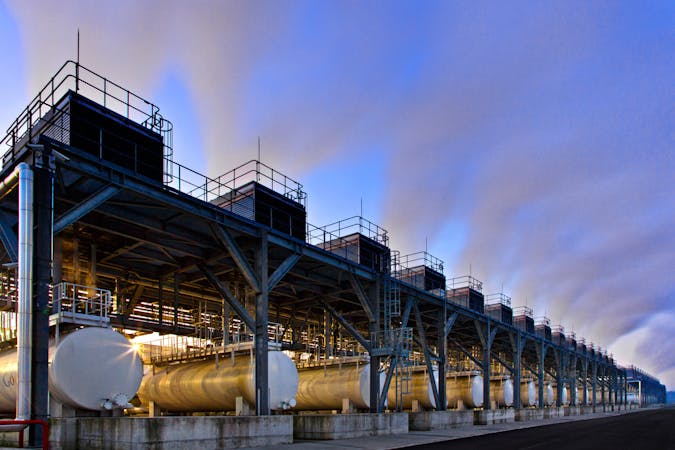 gbl001korymbosassistantship.jpg (3000x2000)